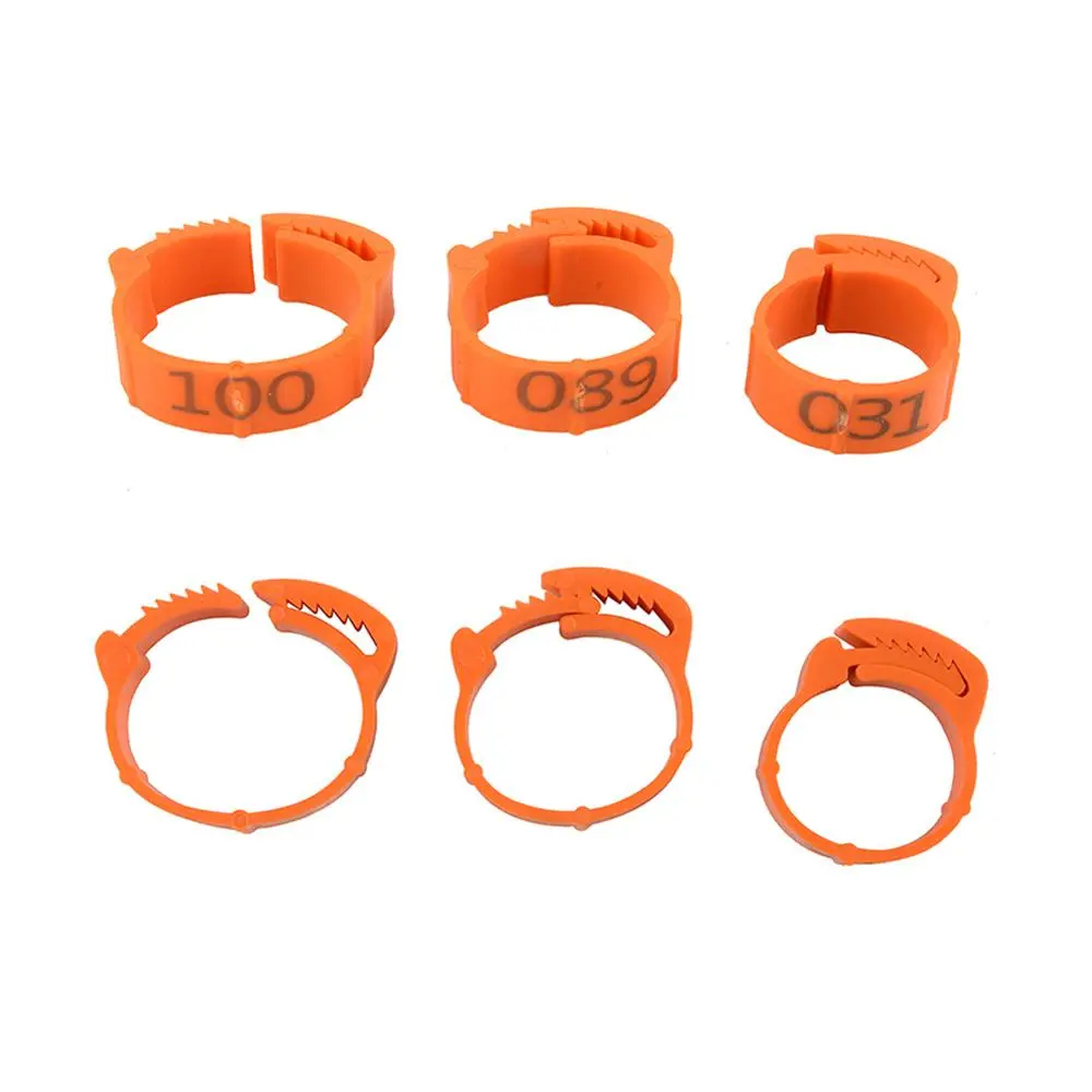 100Pcs/Color Adjustable Chicken Foot Rings Inner Diameter Size 2~2.4cm Chicken Poultry Flexible Retractable Foot Rings 8 Colors