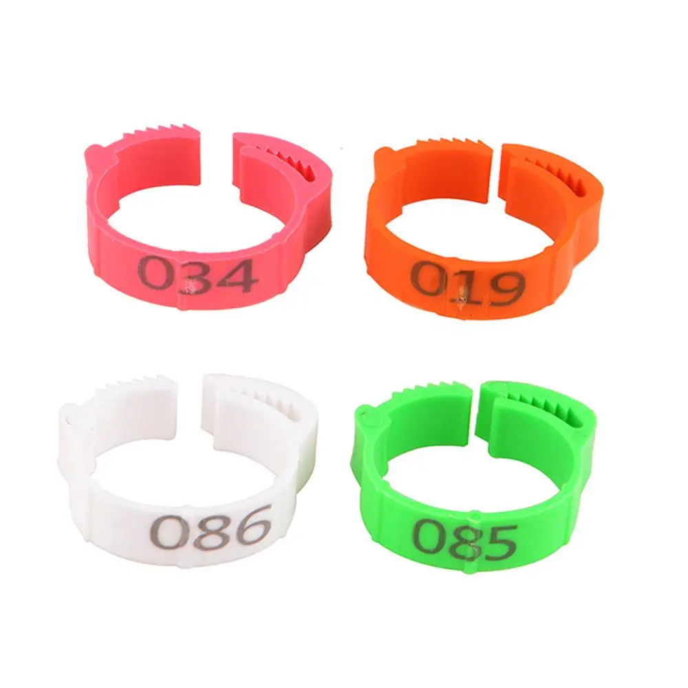 100Pcs/Color Adjustable Chicken Foot Rings Inner Diameter Size 2~2.4cm Chicken Poultry Flexible Retractable Foot Rings 8 Colors