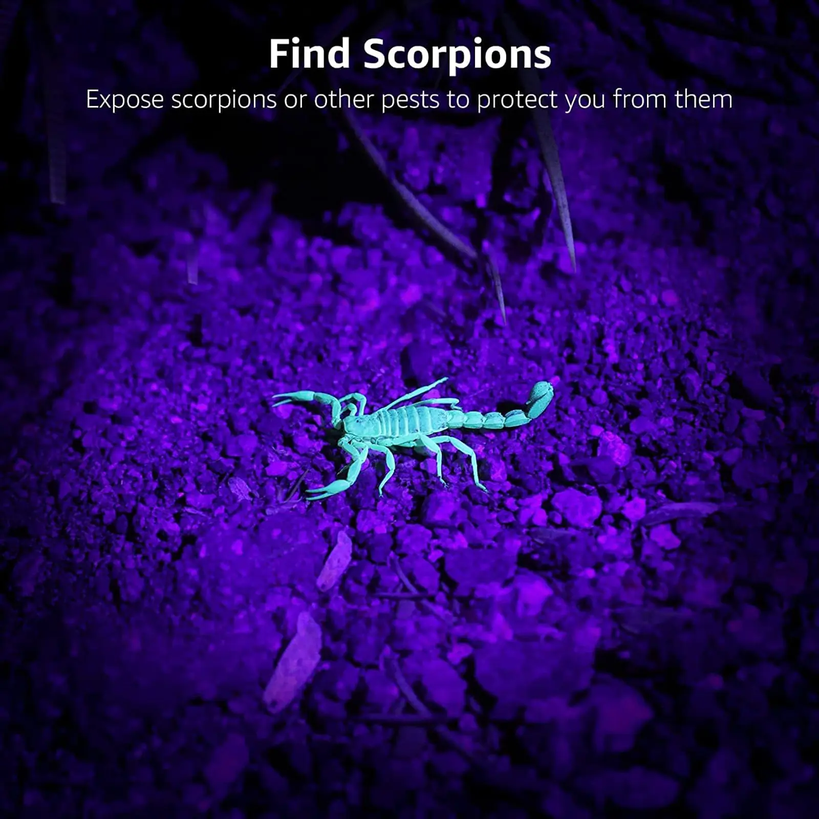 9 LED Ultraviolet Flashlight UV Flashlight for Detecting Urine Pet Stains Banknotes Other Pests with Purple Light Flashligh 1 Pc