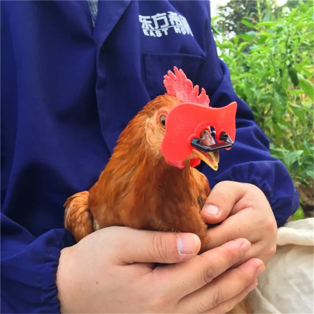 20 Pcs Hot models Soft red glasses Anti-pecking Goggles Chicken Glasses Chicken necessary Retail And Wholesale