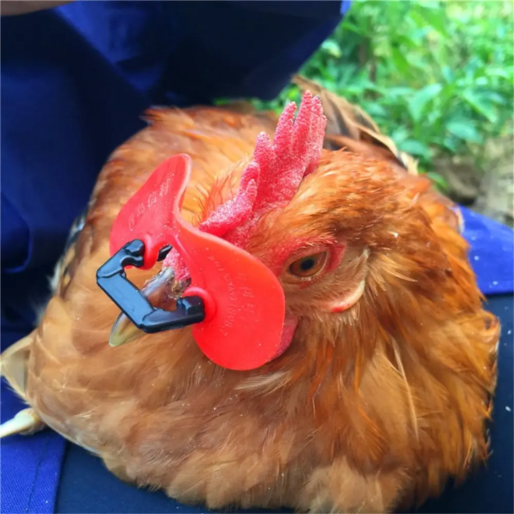 20 Pcs Hot models Soft red glasses Anti-pecking Goggles Chicken Glasses Chicken necessary Retail And Wholesale