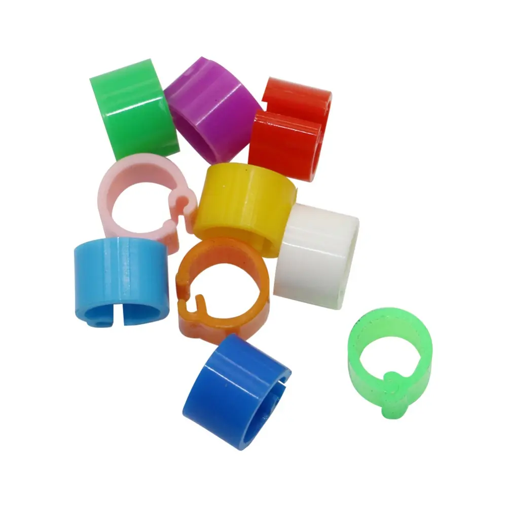 1000 Pcs Pigeons Rings Inner diameter 6mm Bayonet Identification Ring Opening No number Bird Foot Ring Bird Training Supplies