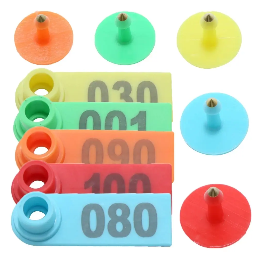 324