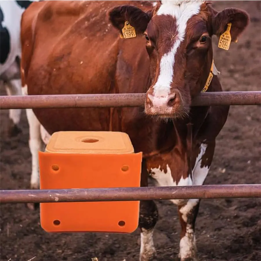 1 Pc Salt Block Holder Goat Mineral Block Tray Mineral Block Holder Durable Feeding Box Cattle Sheep for Farm