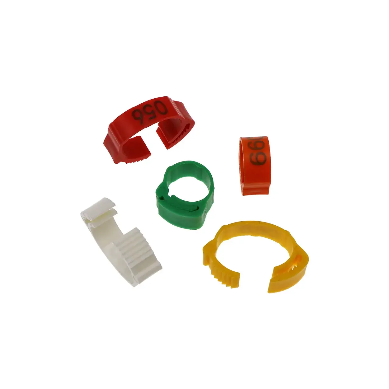 Color Poultry Rings 100 Pcs Adjustable Poultry Foot Ring Chicken  Flexible Retractable Leg Rings Inner Diameter Size 2~2.4cm