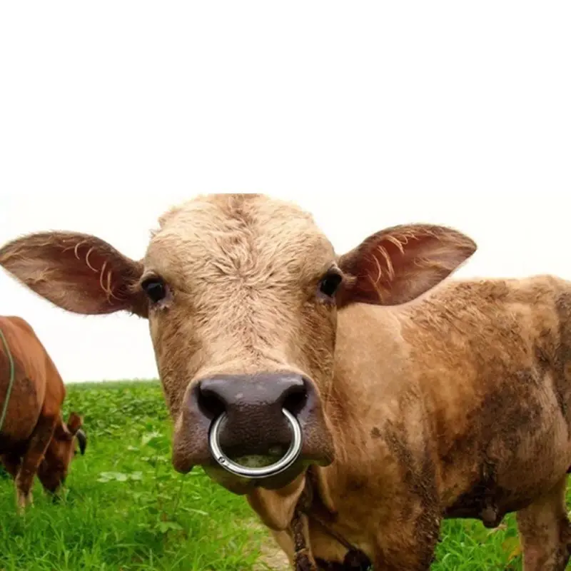 1 Pcs Stainless Steel Cow Nose Ring Cattle Baoding Machine Cow Nose Clip Cow Nose Ring Cattle With Instrument
