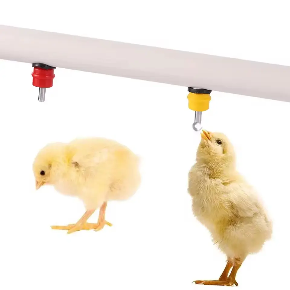 100Pcs AutomaticChicken Nipple Drinker Chicken Quail Pigeon Bird Waterer Nipple Drinkers 360 Angle Poultry Farming Equipment
