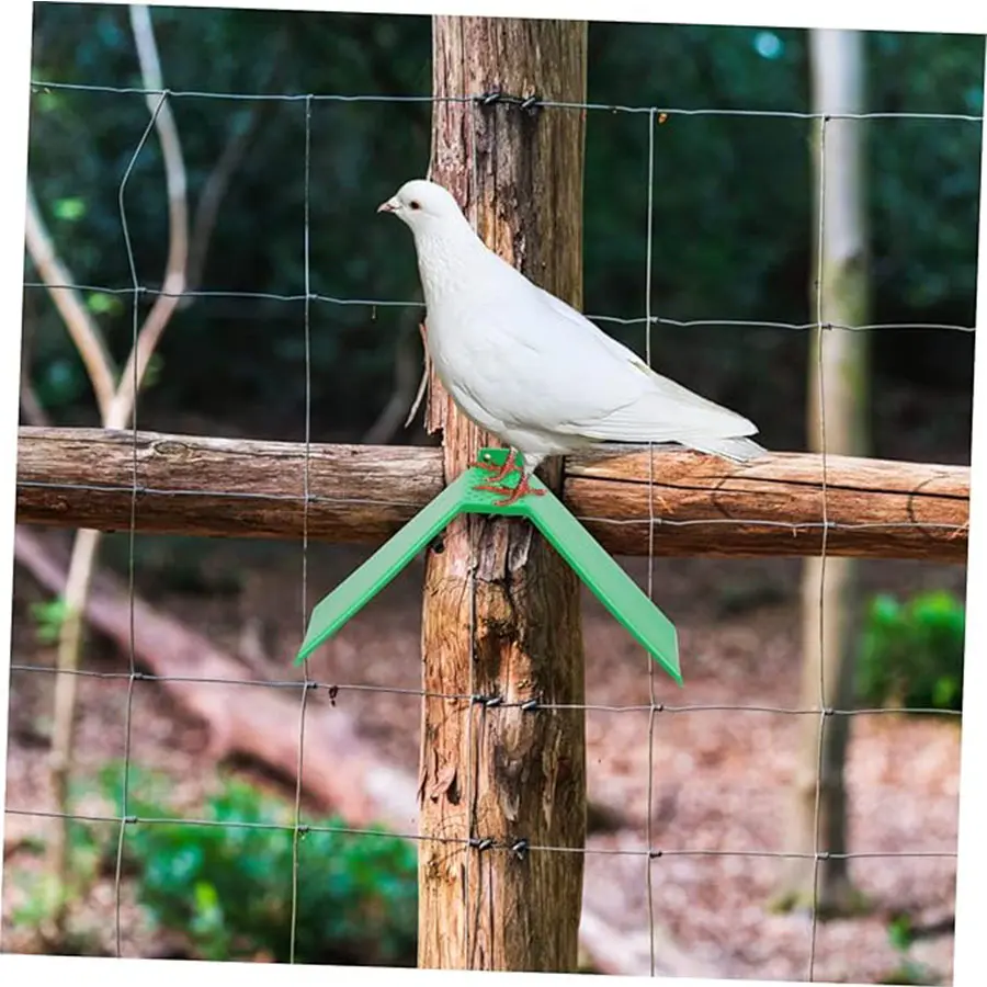 10Pcs Plastic Pigeon Perch Dove Rest Stand Frame for Blue Pigeon Parrots House Dwelling Supplies Accessoires
