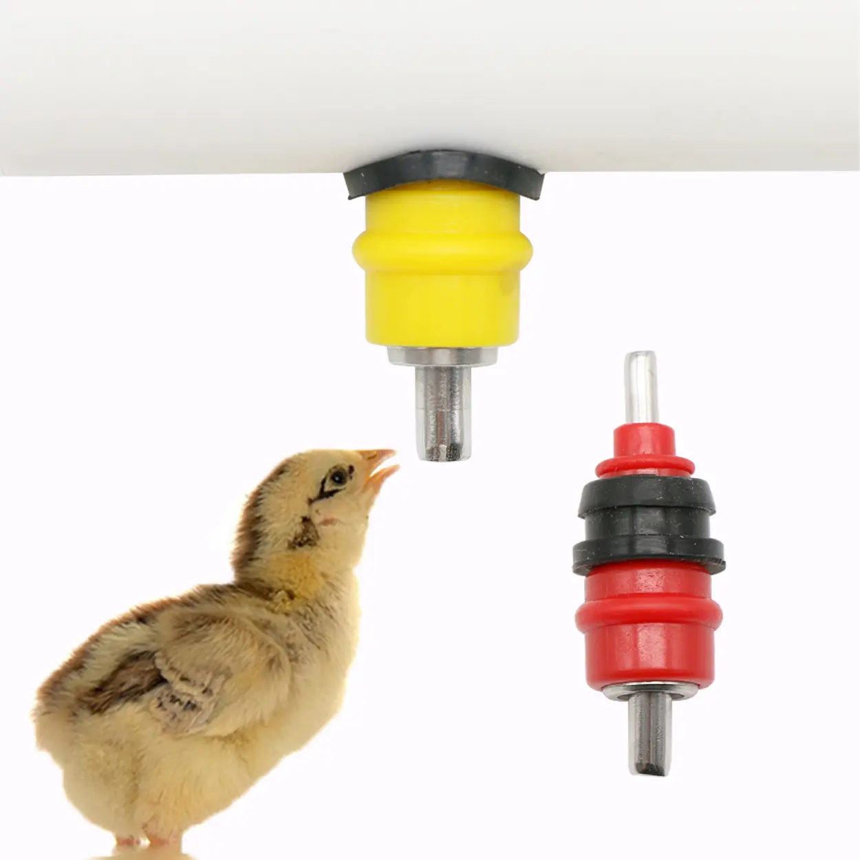 100Pcs AutomaticChicken Nipple Drinker Chicken Quail Pigeon Bird Waterer Nipple Drinkers 360 Angle Poultry Farming Equipment