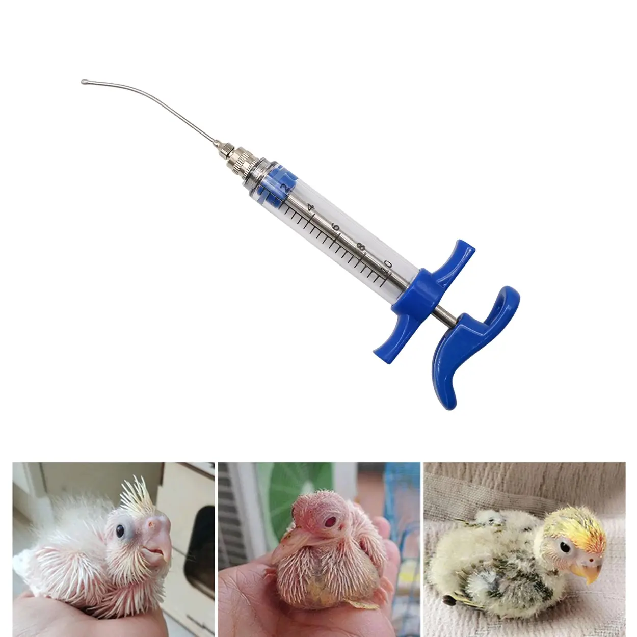 1 Pc Parrot Feeding Tubes Birds Feeding Syringe Kit Curved Gavage Tubes Bird Feeding Feed Small Animal Pet Liquid Feeding Tools