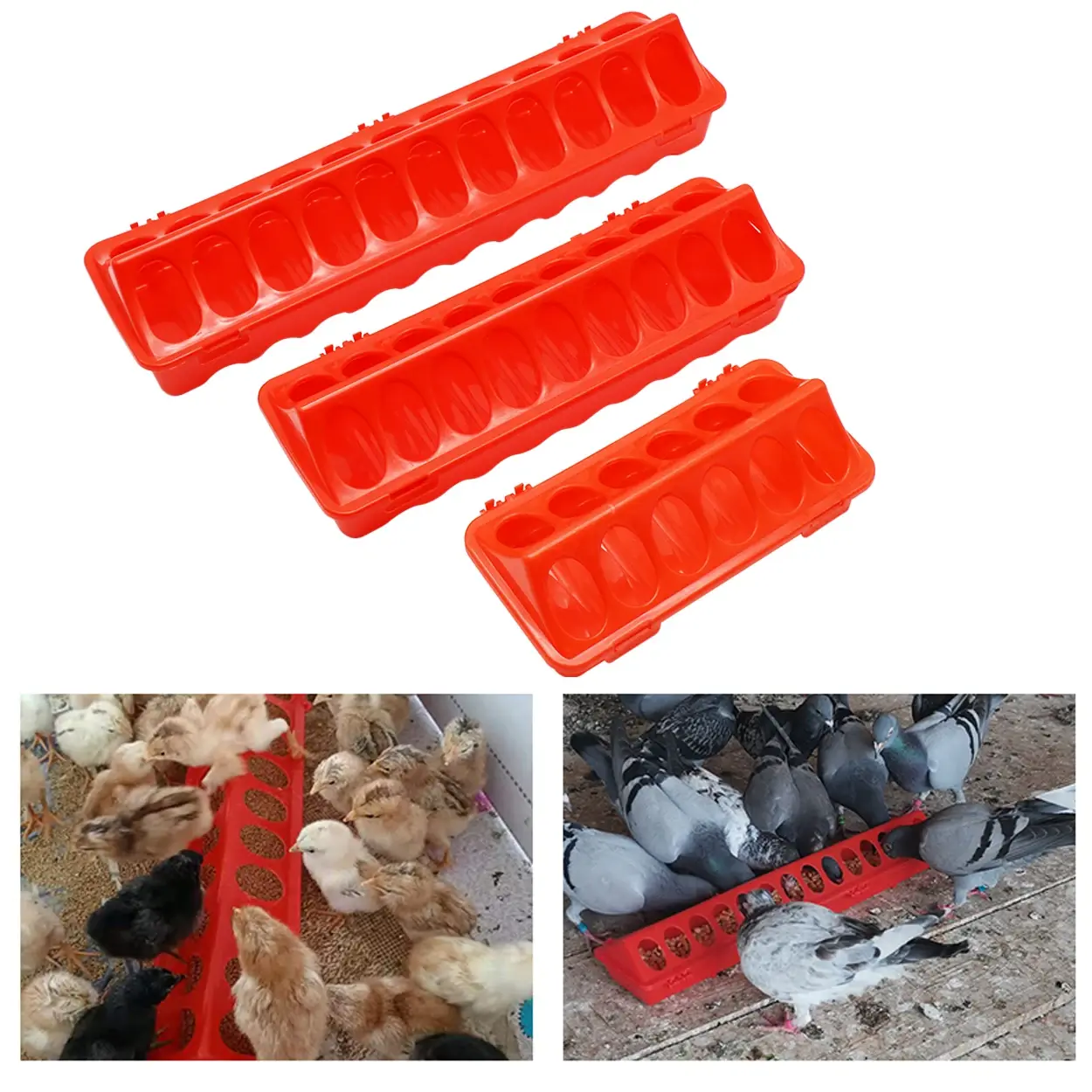 1 Pc 12/18/22 Hole Ground Bird Feeder Plastic Flip-top Double Row Hole Bird Trough Chicken Poultry Feeder Chick Feeding Trough