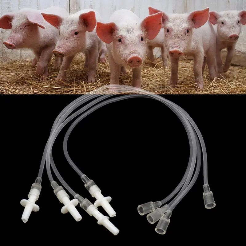 10Pcs Straight Gavage Tubes Parrot Pigeon Bird Poultry Feeding Injection Fittings for Manual Birds Feeding Syringe Parts