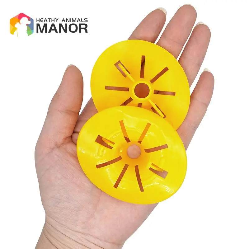 5PCS Reusable Bee Catcher Flower Shaped Flying Insects Funnel Pest Hornet Trap Catcher Wasp Insects Home Garden Wasp Traps