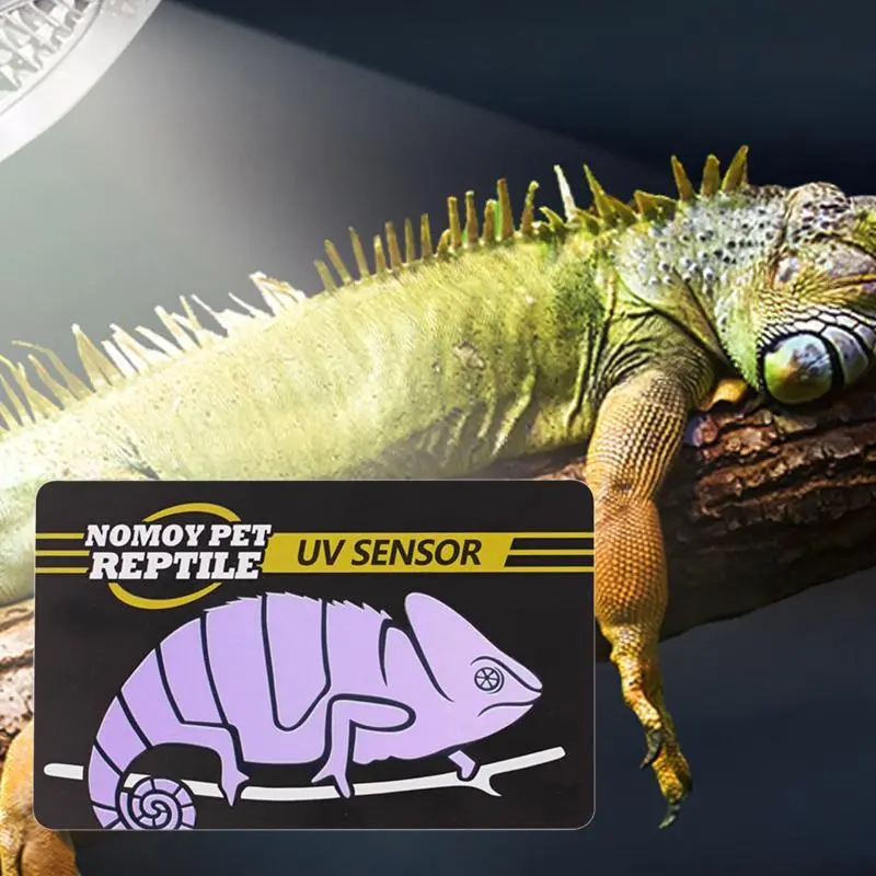 Uvb Test Cards Reptiles Uvb Lamp Uv Test Card Life Effective Tests Measurement Analysis Reusable Tools Uv Light Meter Detection