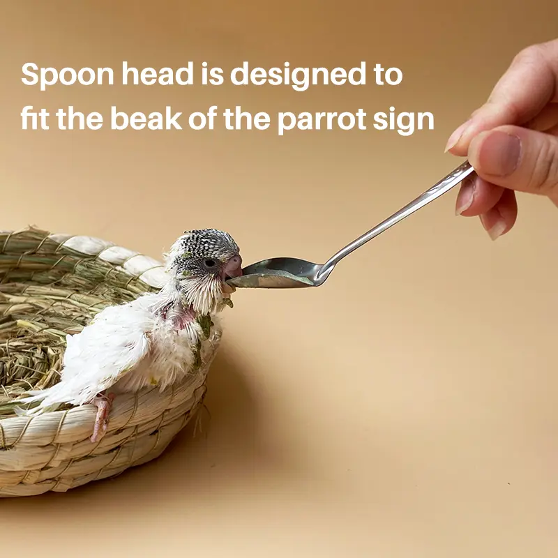 1pcs Stainless Stainless Feeder Bird Feeding spoon chick Feeding Spoon Pet Parrot Bird Cage Food Spoon Feeding Tools Supplies