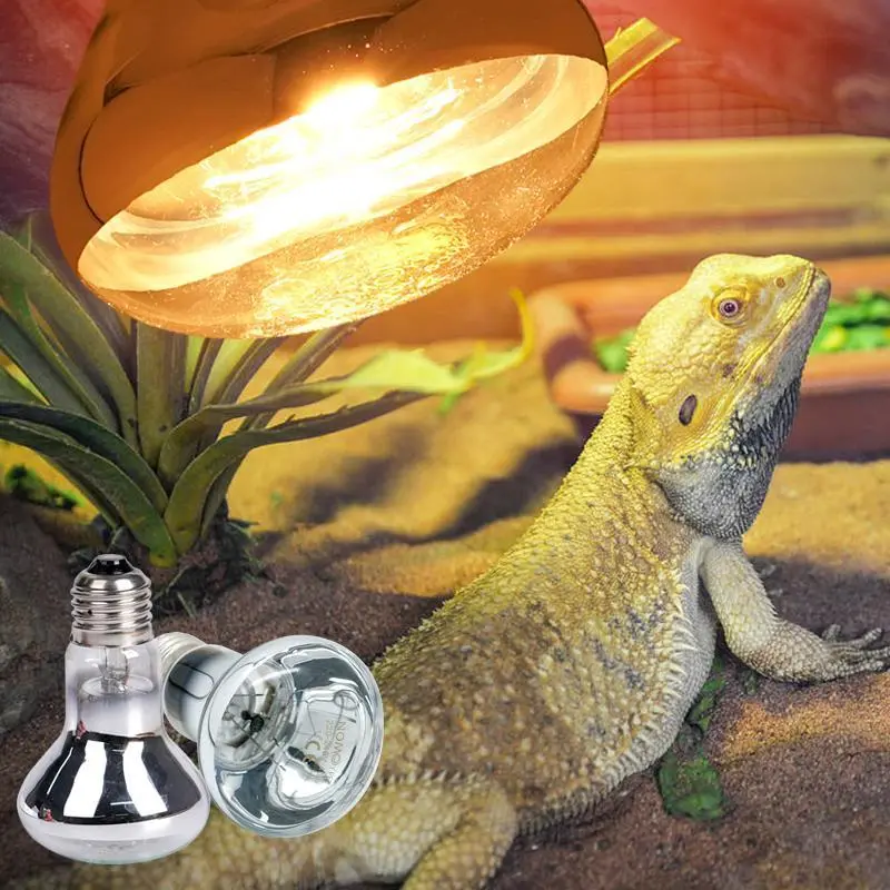 324