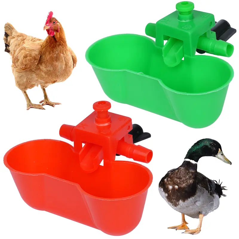 5pcs Chicken Water Bowls Poultry Water Dispenser Automatic Dual Cups Drinker Pigeon Cup Parrot Pigeon Bird Drinking Feed tool