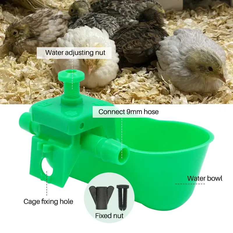 5pcs Chicken Water Bowls Poultry Water Dispenser Automatic Dual Cups Drinker Pigeon Cup Parrot Pigeon Bird Drinking Feed tool