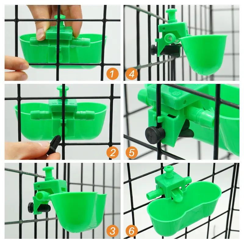 5pcs Chicken Water Bowls Poultry Water Dispenser Automatic Dual Cups Drinker Pigeon Cup Parrot Pigeon Bird Drinking Feed tool