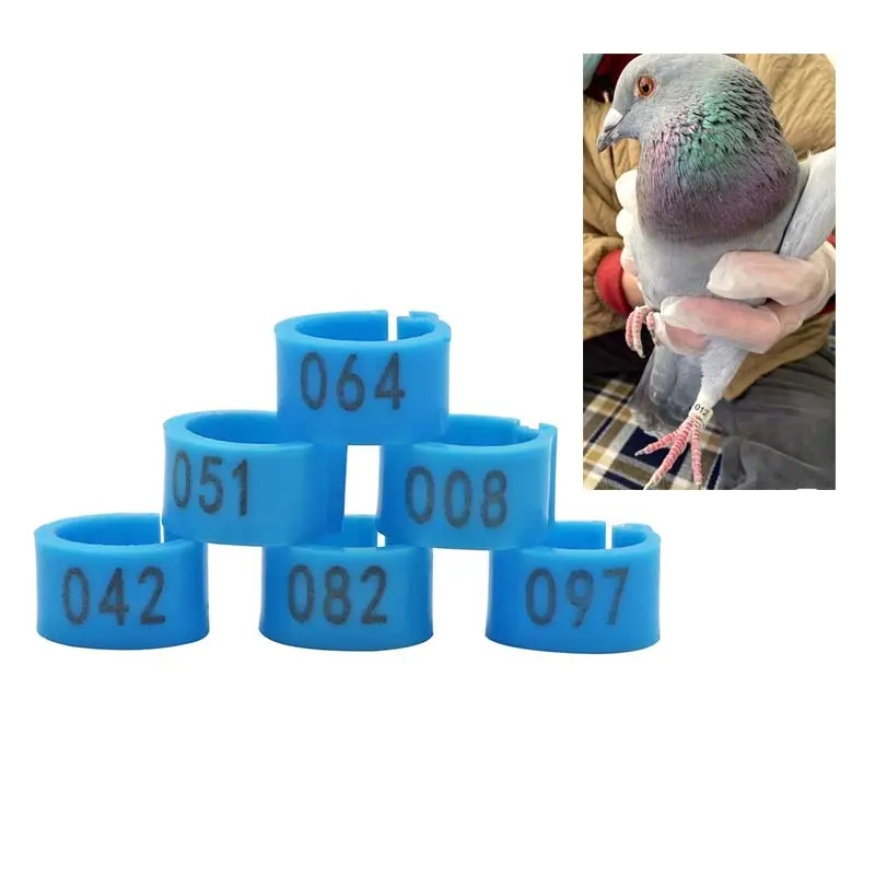 324