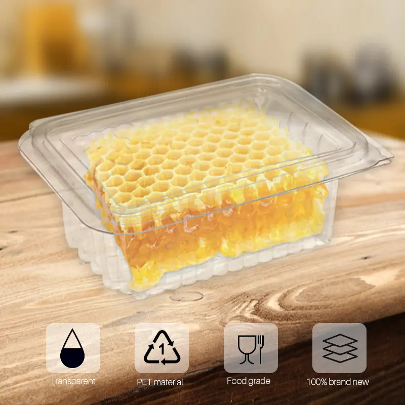 10 Pcs Plastic Honey Lattice Box Bee Beekeeping for Bee Tools Equipment Supply Transpar Honey Box