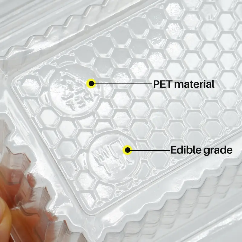 10 Pcs Plastic Honey Lattice Box Bee Beekeeping for Bee Tools Equipment Supply Transpar Honey Box