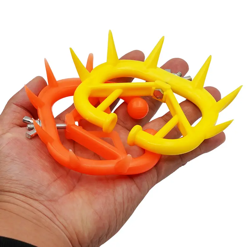 324