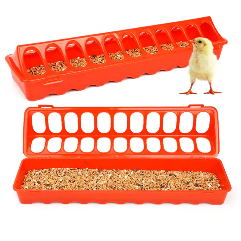 Plastic Flip-Top Poultry Bird Feeder Ground Chicken Feeder Trough Pheasant feeding bucket Quality Chick