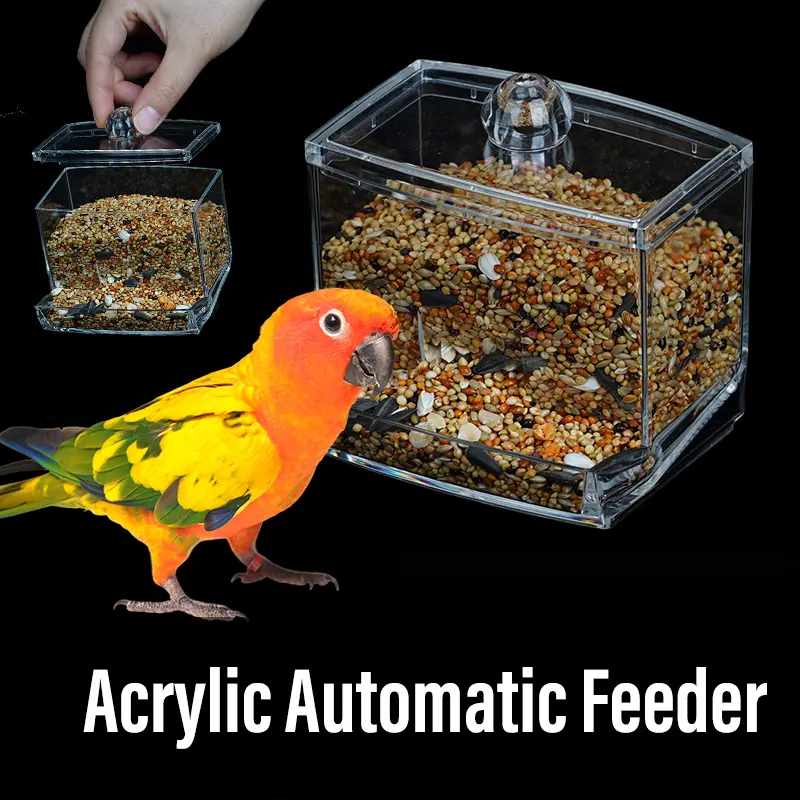 2Pcs Acrylic Automatic Bird Feeders Chicken Feeding Trough Bird Feeders Parrot Feeder Food Container Cage Automatic Food Feeder