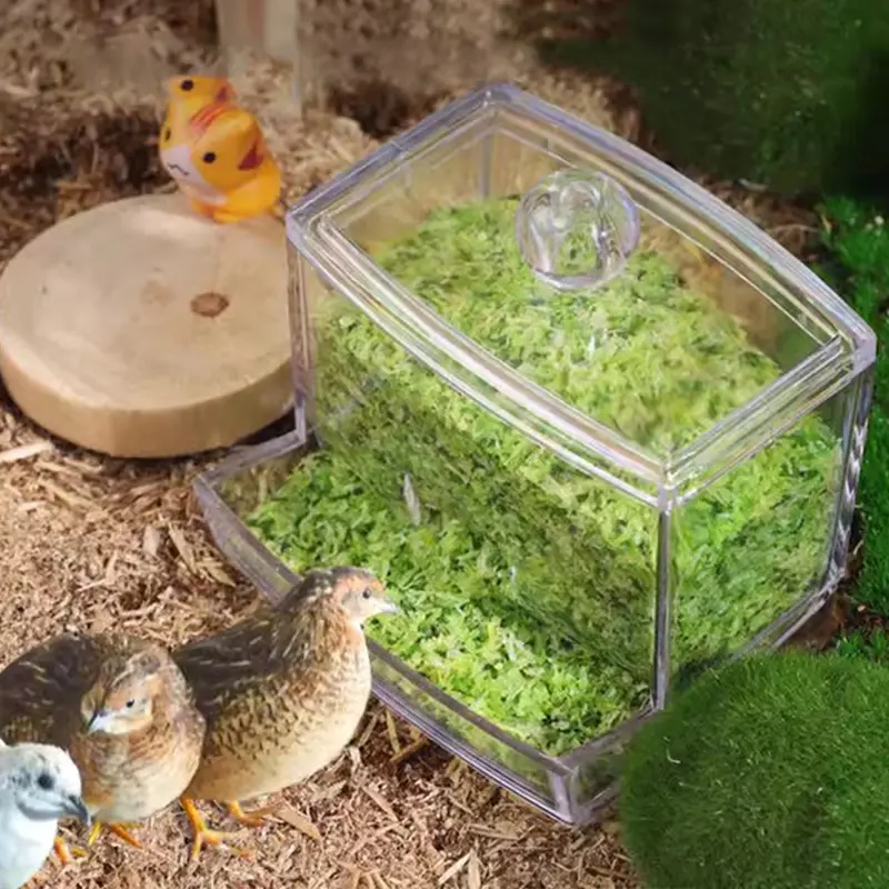 2Pcs Acrylic Automatic Bird Feeders Chicken Feeding Trough Bird Feeders Parrot Feeder Food Container Cage Automatic Food Feeder