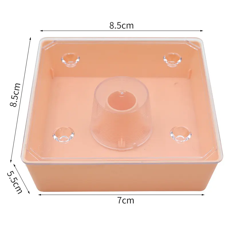 European Style Square Bee Feeder Waterer Around 2 Litres Capacity Plastic Beekeeping Feeder with Transparent Cover for Apiary
