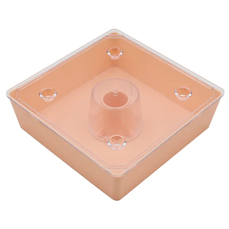 European Style Square Bee Feeder Waterer Around 2 Litres Capacity Plastic Beekeeping Feeder with Transparent Cover for Apiary