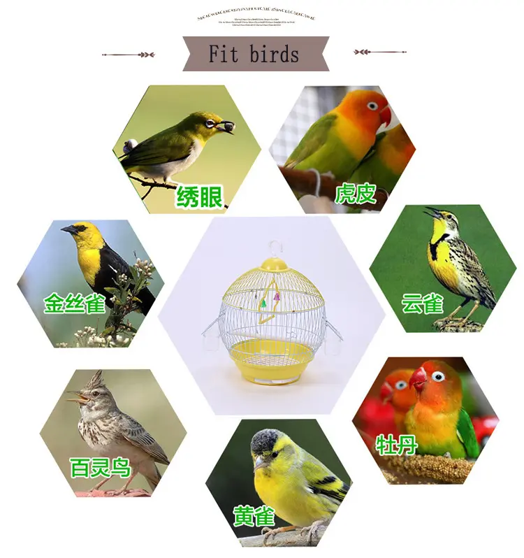 Small Bird Cage Pearl Bird Parrot Acacia Wrought Iron Universal Birdcage Small Bird Metal Wire Home