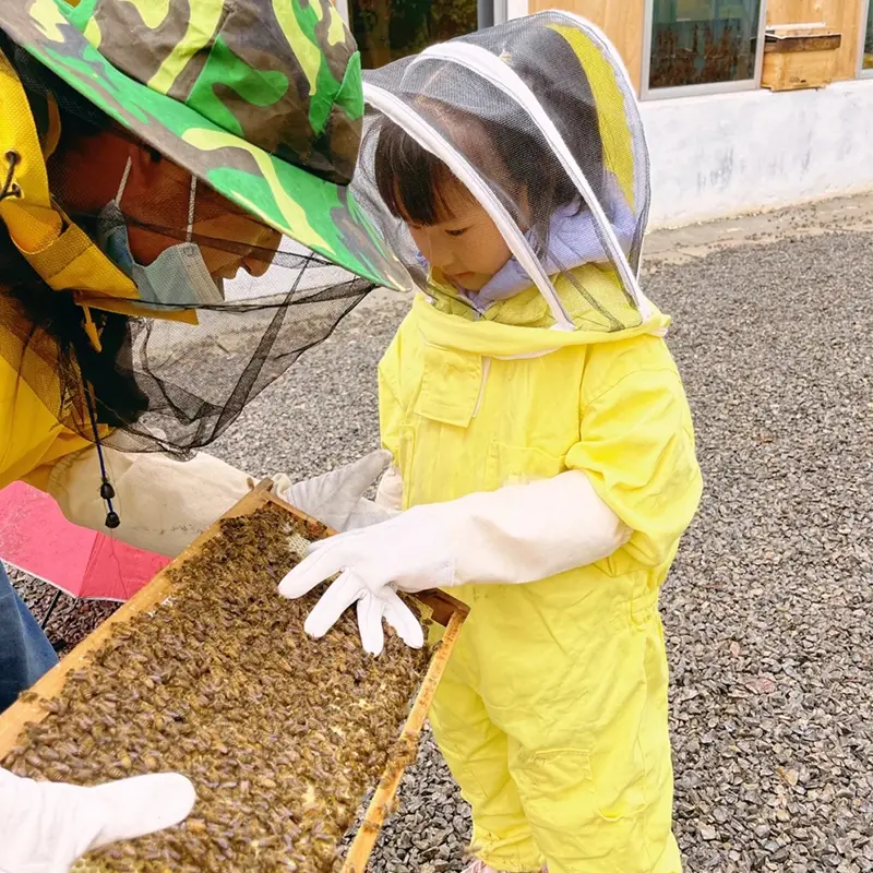 Children Anti-Bee Suit Breathable Suit for Kids Beekeeping Practicekid Beekeeping Clothing Apiculture Equipement + Gloves