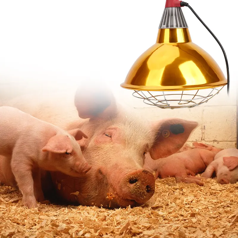 Livestock Pig Brood Warmer Heating Lamp Shade Adjustable Temperature Farm Poultry Goose Pig Cultivation Heat Preservation Lamp