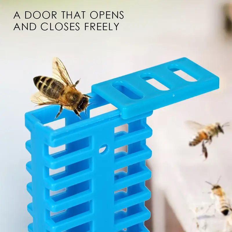 New Beekeeping Plastic Queen Cage Bee Cross Shaped Queen Bee Transfer Cage Beekeeper Apiculture Catching Catcher Equipment Tools