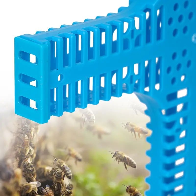 New Beekeeping Plastic Queen Cage Bee Cross Shaped Queen Bee Transfer Cage Beekeeper Apiculture Catching Catcher Equipment Tools