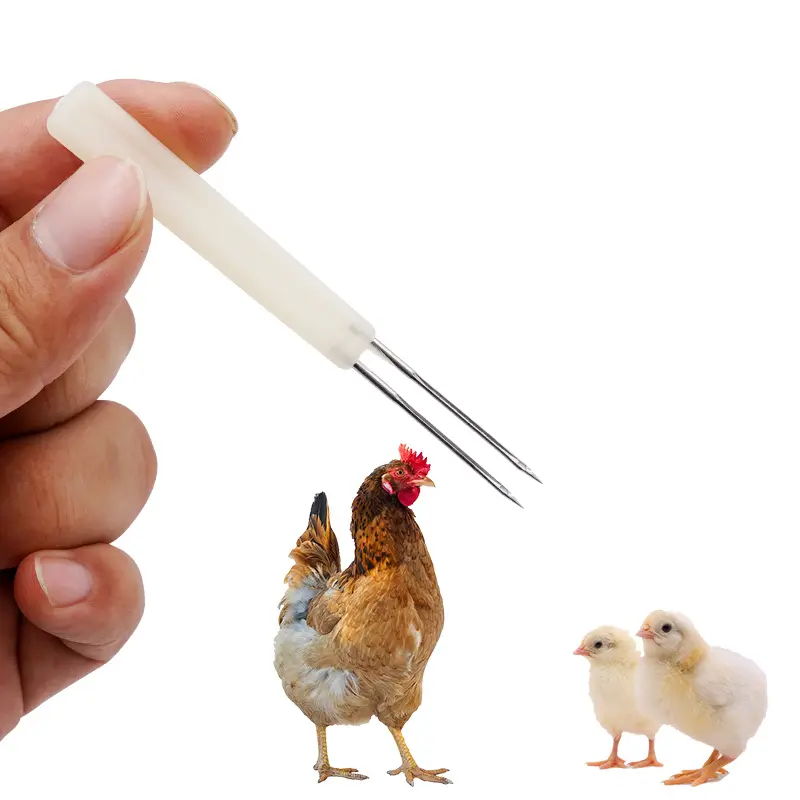 10pcs Chicken with Double Needle Thorn Acne Needle Birds Smallpox Plastic Vaccine Pigeon Poultry Immune sting of chicken