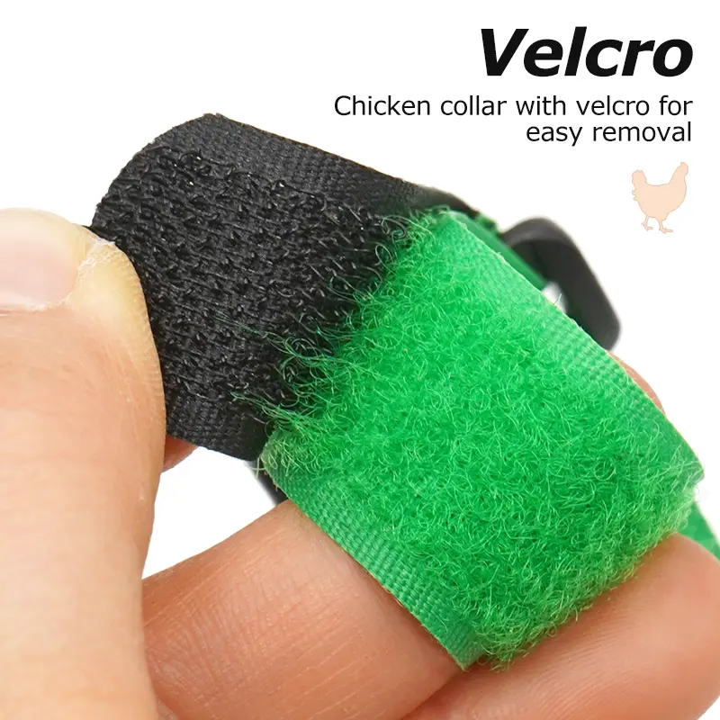 2Pcs No Crow Rooster Collar Chicken Collar Noise Free Anti-Hook Neckband Poultry Collars Supplies