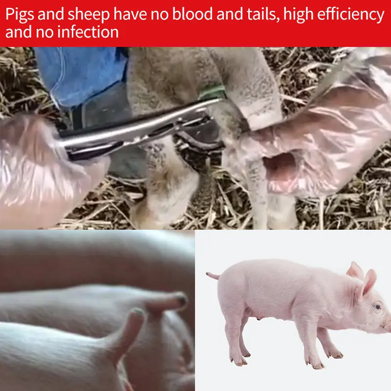 Sheep Expansion Pliers Piglet Castration Forceps Tail Docking Clamp Bloodless Livestock Goat Tail Castrate Rings Farm Animal 1Pc