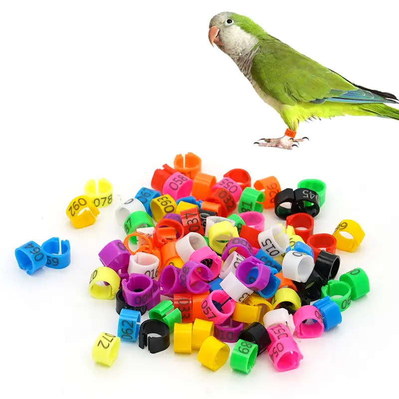 100Pcs New Pigeon Leg Rings Identify Dove Bands 8mm Plastic Parrot Clip Digital Foot Ring Pigeon Training Supply Bird Appliances