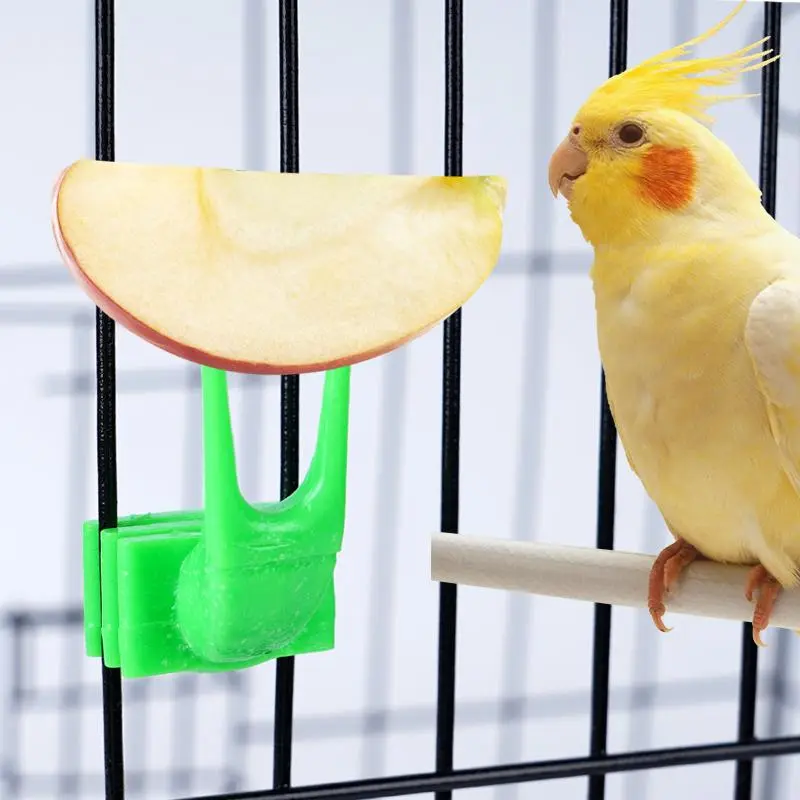 5Pcs Bird Food Holder Bird Parrots Fruit Forks Pet Feeding Accessories Supplies Plastic Food Holder Feeding On Cage Pet Supplies