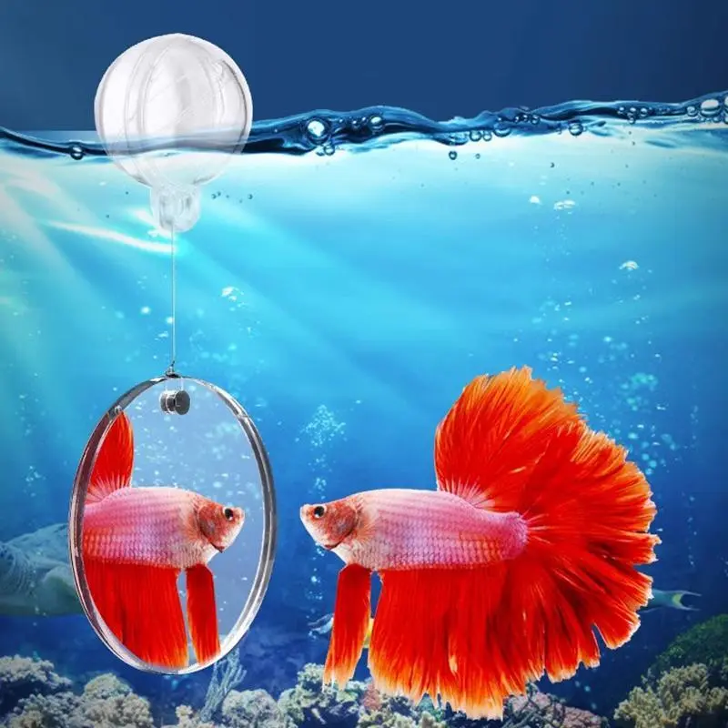 Aquarium Acrylic Betta Training Mirror Fish Tank Floating Mirror for Fish Betta Flowerhorn Cichlid Training Fish Tank Ornaments