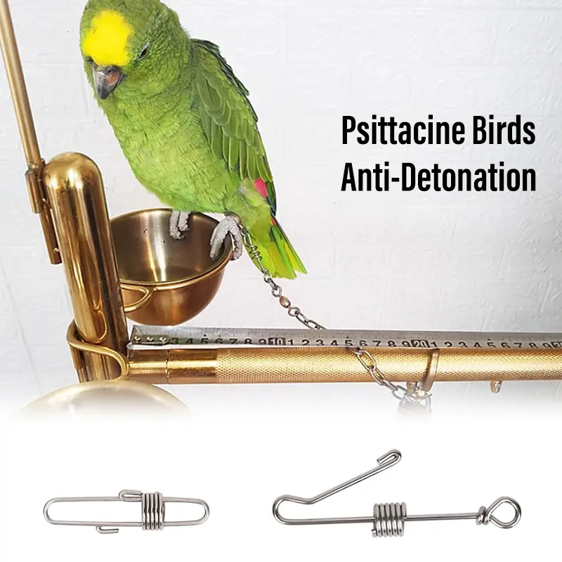 Bird Parrot Foot Chain Stainless Steel Safe Flying Training Bird Anklet Rings  Away Accessories  Flee-proof Rings Outdoor