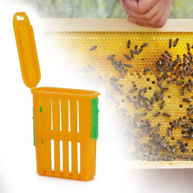 5Pcs Queen Bee Post Cage Beekeeping Queen Cages Move Transmit Grid Box Bee Marking Cage Beekeeping Tools Queens Shipping Box