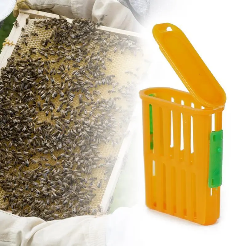 5Pcs Queen Bee Post Cage Beekeeping Queen Cages Move Transmit Grid Box Bee Marking Cage Beekeeping Tools Queens Shipping Box