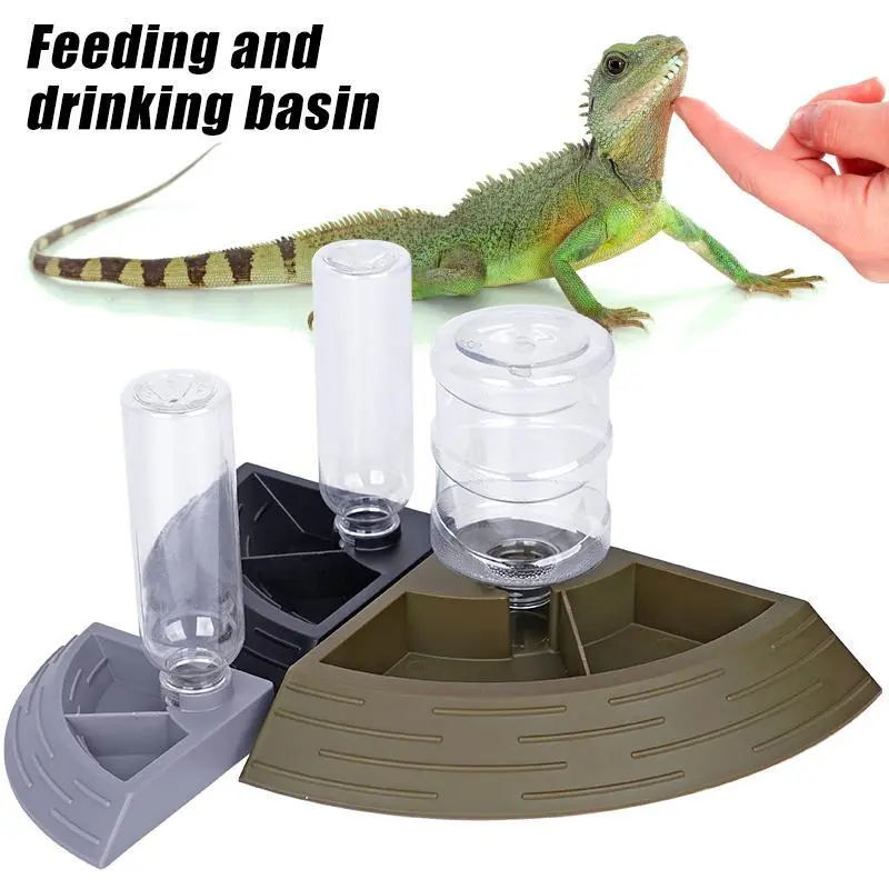 Reptile Feeder Water Bowl Lizard Tortoise Automatic Partition Feeder Corner Feeder with Water Bottle for Pet Turtle Gecko Lizard