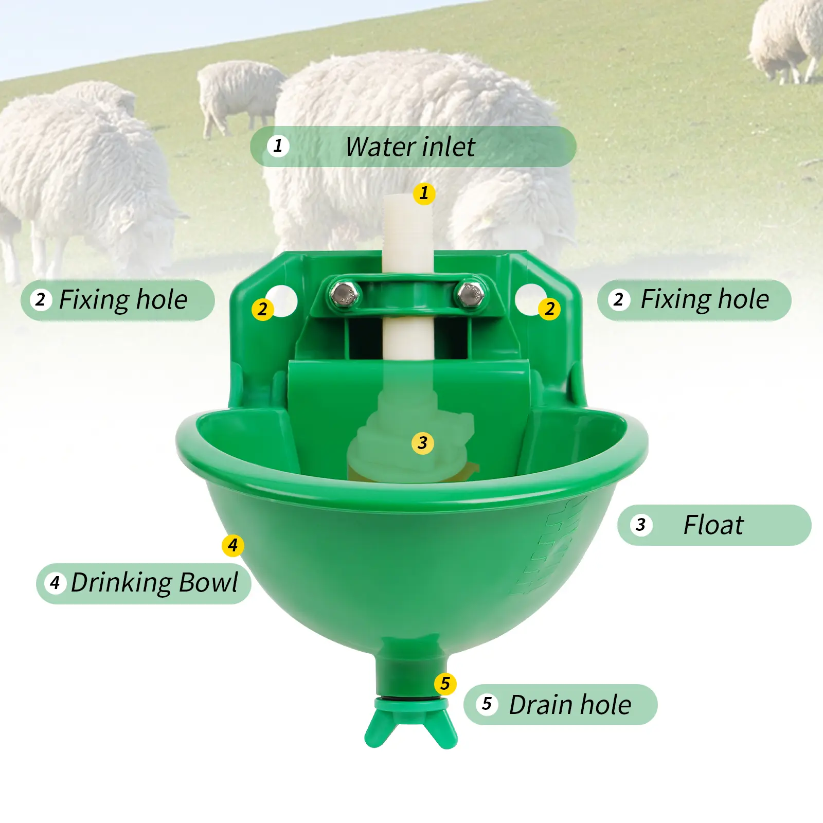 Automatic Sheep  Drinker Bowl With Valve Quality Water Fountain Cattle Sheep  Drinker Equipment  Drinking Tool