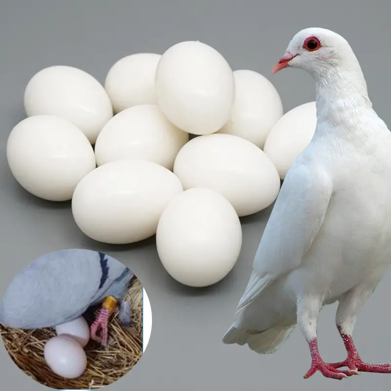 324