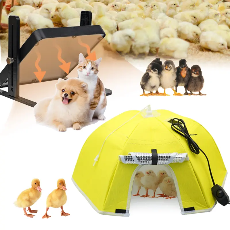 2Types Electric Chick Brooder Heating Cover Chick Cage Heater Chicken Warmer Chicken Drooder Device